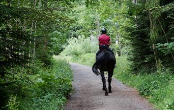 Women on horse riding through woods