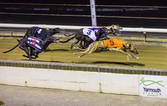 Greyhound Racing