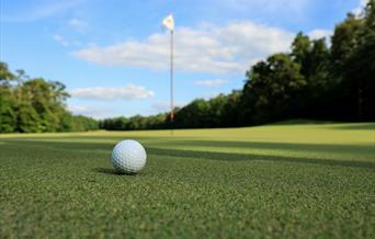 Golf ball on green with flag in background