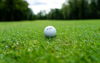 Golf ball on green