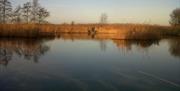 Martham Pits