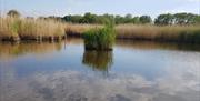 Martham Pits
