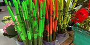 Jack's Flower Stall