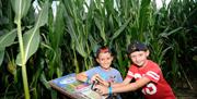 Hirsty's Family Fun Park - Summer Mega Maize