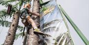 Two friends climbing the Coconut Tree Climb at Richardson's Family Entertainment Centre