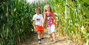 Hirsty's Family Fun Park - Summer Mega Maize