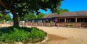 Broad Farm