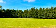 Broad Farm