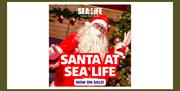 Santa at Sea Life