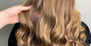 The Hair Base