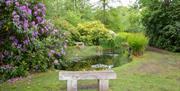 Secret Gardens