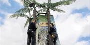 Two friends climbing the Coconut Tree Climb at Richardson's Family Entertainment Centre