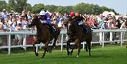Crowds cheer on horseracing at Great Yarmouth Racecourse