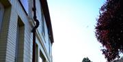 The Blackfriars Tavern