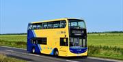First Bus