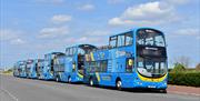 First Bus