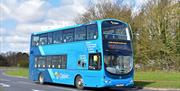 First Bus