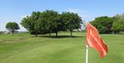 Bure Park