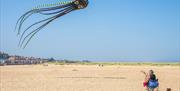 Kite Flying
