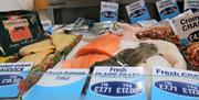 Nichols Seafood