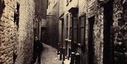 Kittywitches Row