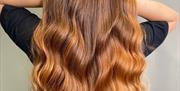 The Hair Base