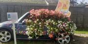 Filby in bloom