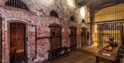 This image shows the old cells off the Tolhouse Gaol. It has four wooden cell doors, in a red brick wall. Above each cell door is a semi-circular wind