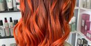 The Hair Base