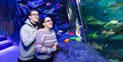 Sea Life Aquarium
