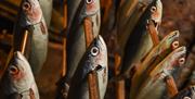 Herrings at Time and Tide Museum