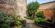 The garden at Elizabethan House Museum.