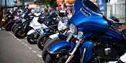Wheels Festival Motorbikes