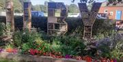 Filby in bloom