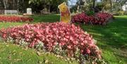 Filby in bloom
