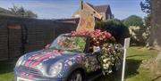 Filby in bloom