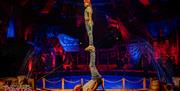 Pirates Live Hippodrome Circus