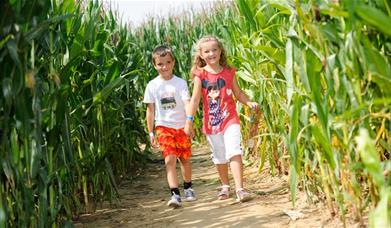 Hirsty's Family Fun Park - Summer Mega Maize