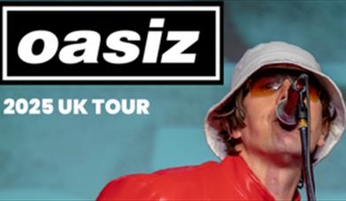 A man dressed as Liam Gallagher singing into a microphone