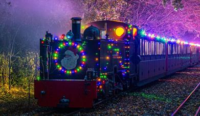 Noel Night Train