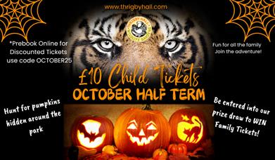 October Half Term at Thrigby
