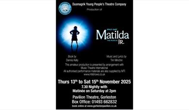 Poster for Matilda Jnr