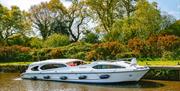 Cruiser in the Broads National Park