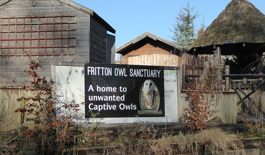 Fritton Owl Sanctuary