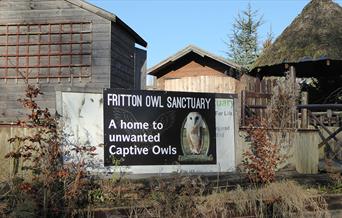 Fritton Owl Sanctuary