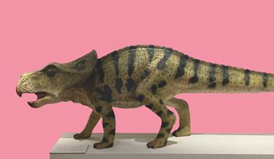 A side profile view of a small dinosaur model standing on a white plinth against a pink background.