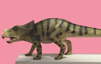 A side profile view of a small dinosaur model standing on a white plinth against a pink background.