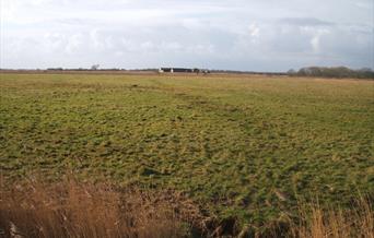 Image of Heigham Holmes Nature Reserve