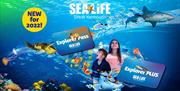 SEA LIFE Great Yarmouth - Annual Pass