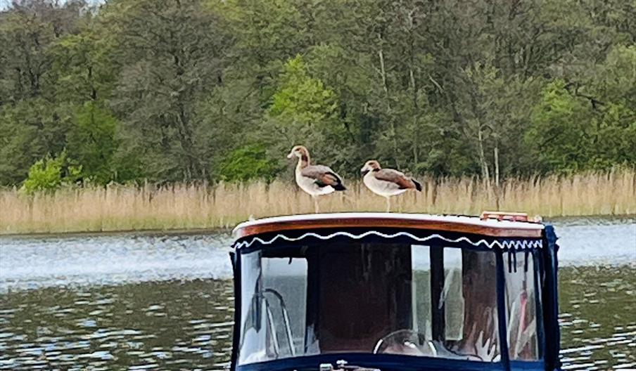 Boat Trips at The Waterside Rollesby